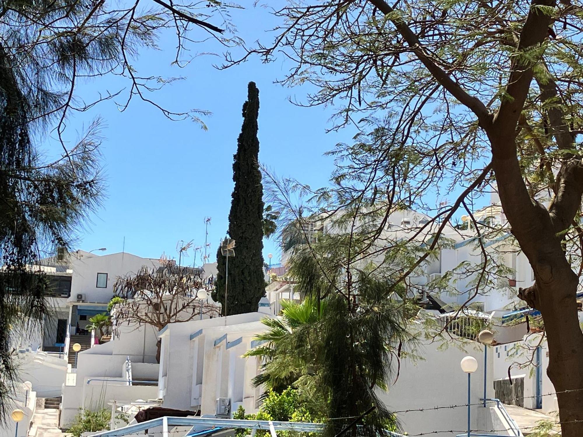 Appartamento casAkash con Vistas al Mar, Terraza, Piscina y Parking gratuito Maspalomas  Esterno foto